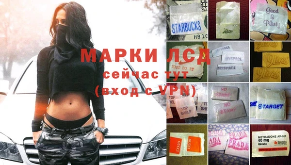 стаф Беломорск