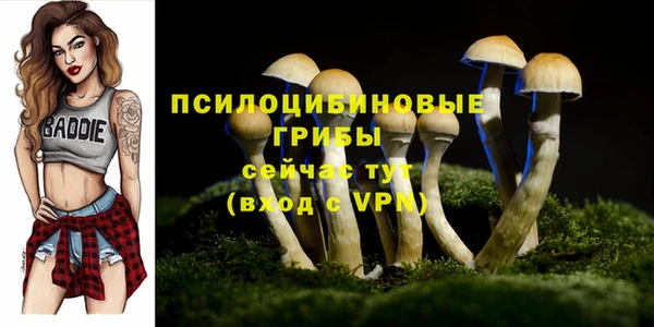 прущая мука Богданович