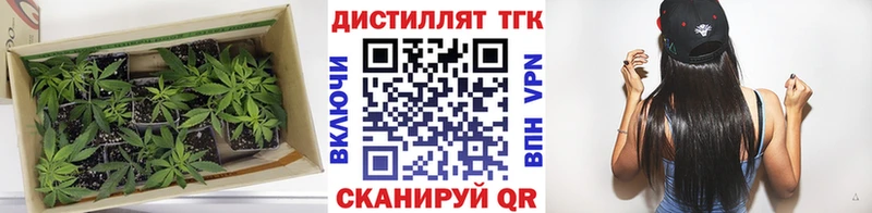 МЕГА зеркало  как найти наркотики  Орск  ТГК гашишное масло 