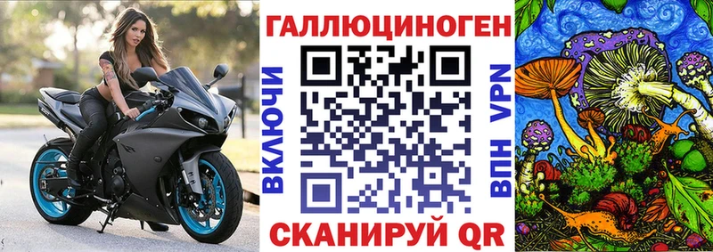 darknet какой сайт  Орск  Псилоцибиновые грибы MAGIC MUSHROOMS 